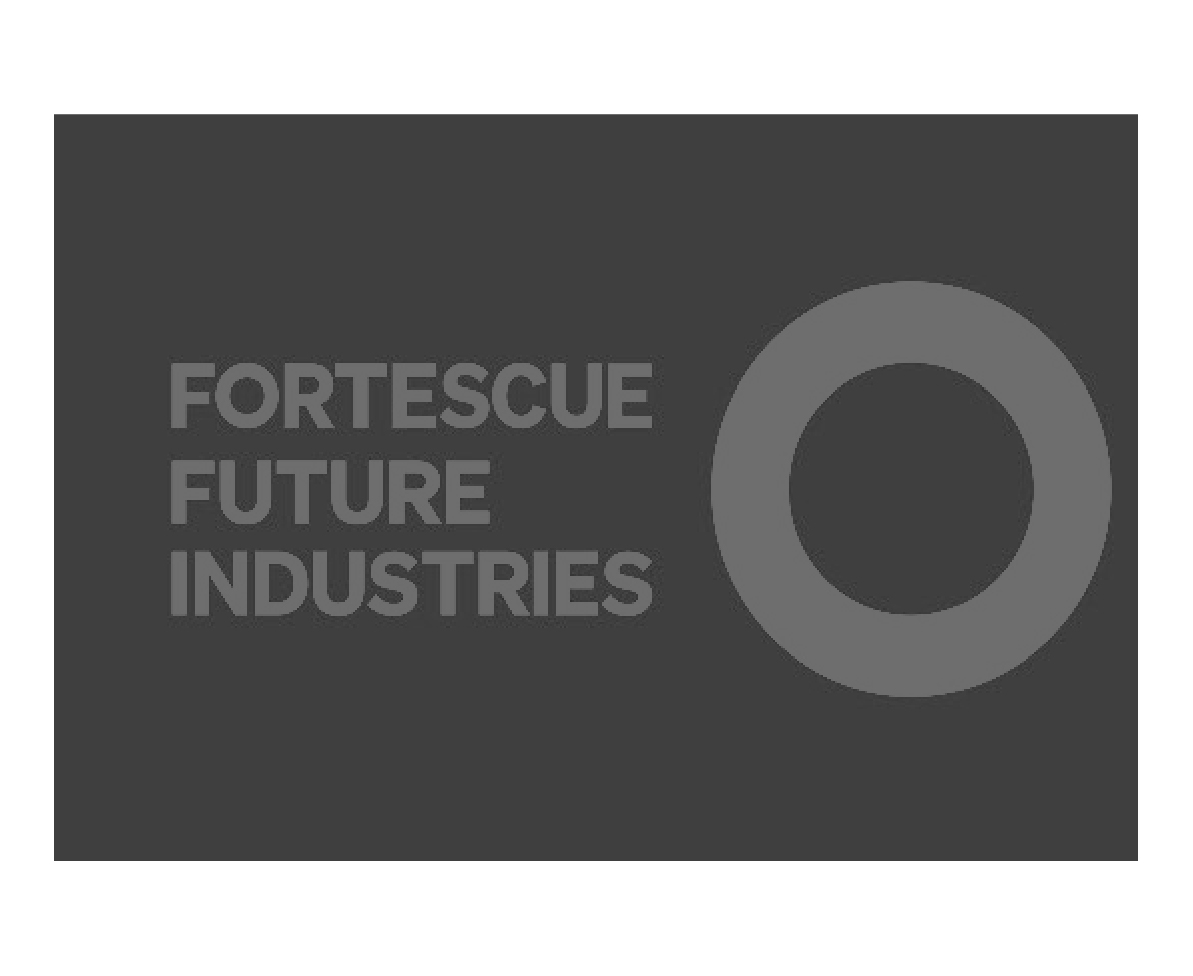 FFI